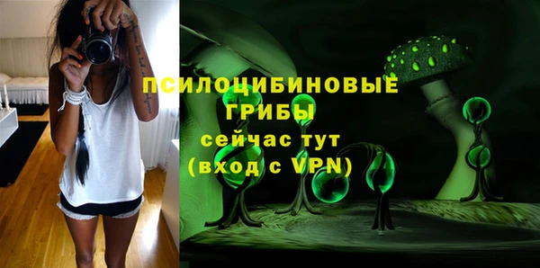 прущие грибы Лихославль