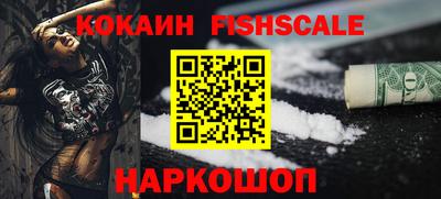 spice Камышлов