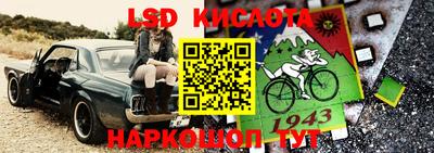дмт Канаш