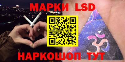 spice Камышлов