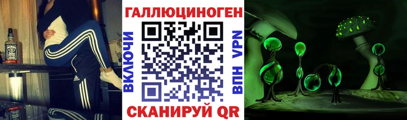 Псилоцибиновые грибы MAGIC MUSHROOMS  сколько стоит  ОМГ ОМГ маркетплейс  Людиново 
