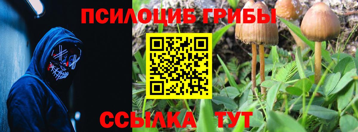 Псилоцибиновые грибы ЛСД  Вход с VPN  Людиново 